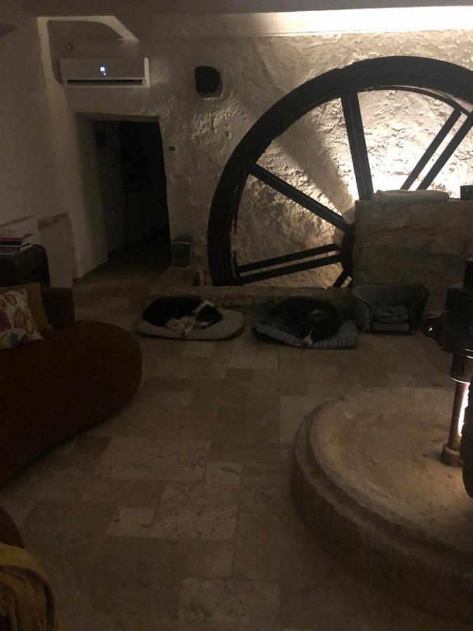 Moulin A Huile Chambre D'Hotes Vins-sur-Caramy Exteriör bild